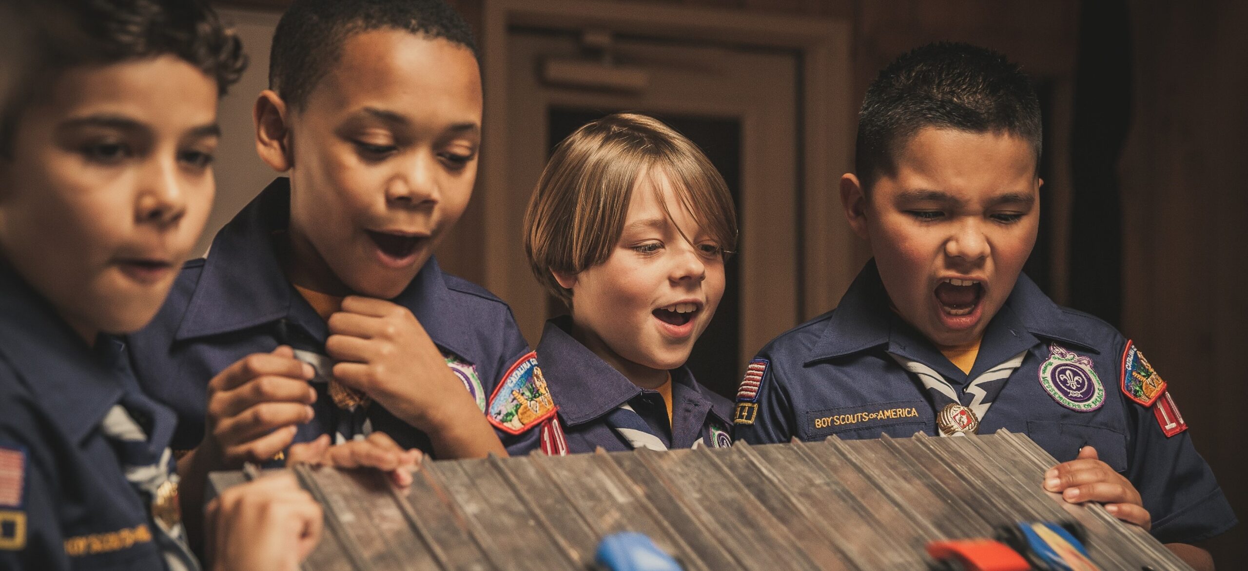 Cropped PWD Cubs